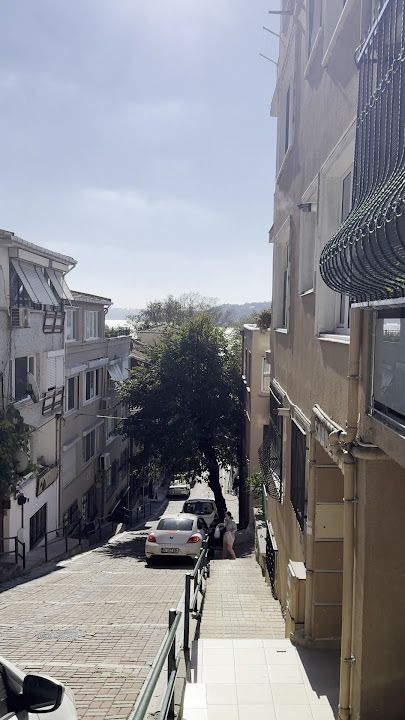 Fotoğraf 66