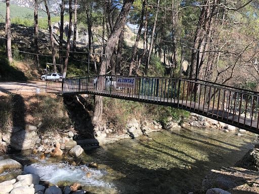 Yorum fotoğrafı 5