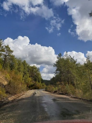 Yorum fotoğrafı 5