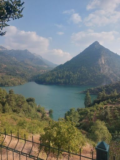 Yorum fotoğrafı 5