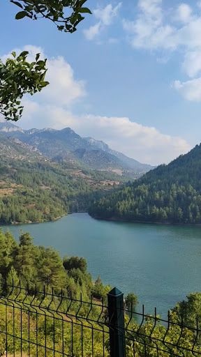 Yorum fotoğrafı 8