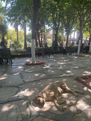 Yorum fotoğrafı 4