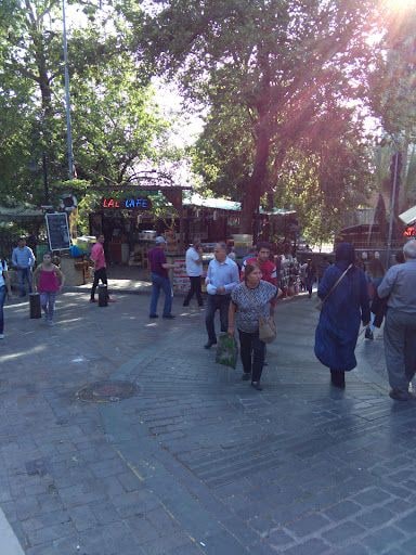 Fotoğraf 9