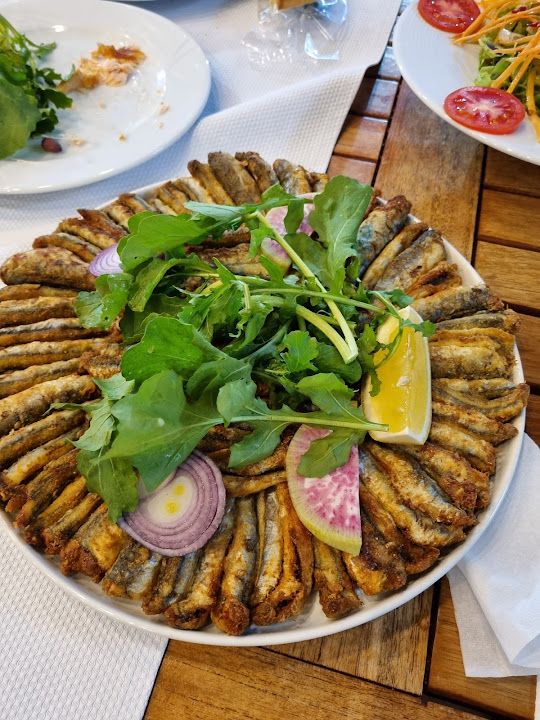 Fotoğraf 10