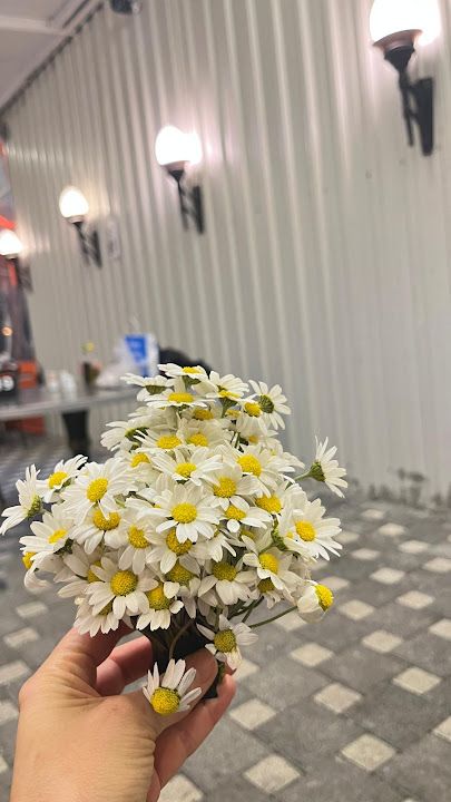 Fotoğraf 21