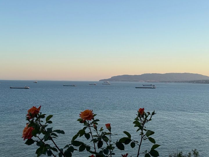 Fotoğraf 37