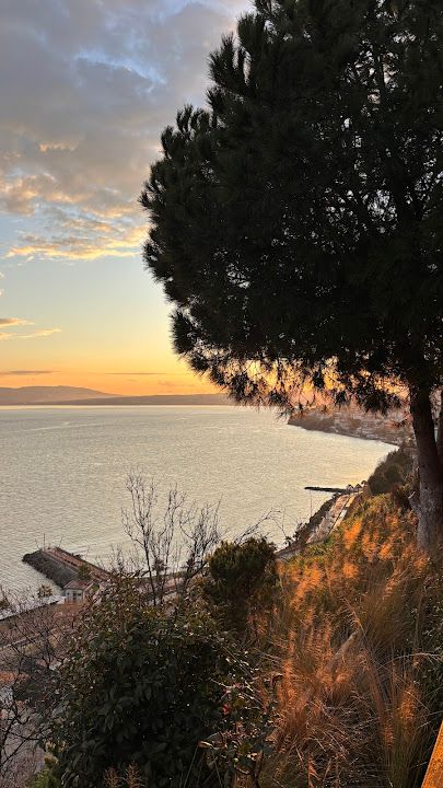 Fotoğraf 67