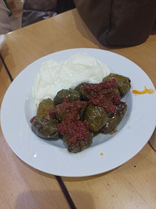 Fotoğraf 11