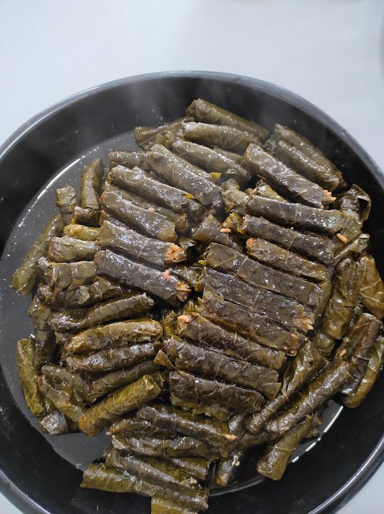 Fotoğraf 15