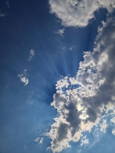 Fotoğraf 21