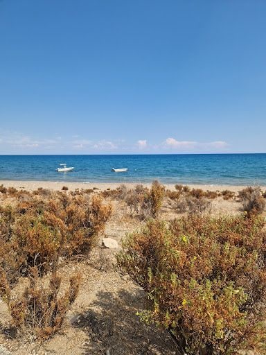 Fotoğraf 22