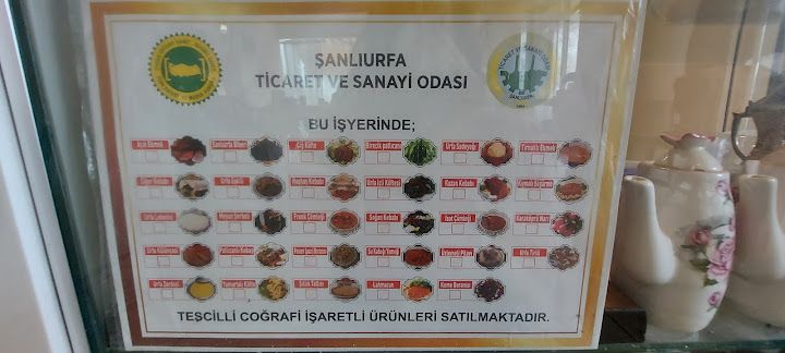 Fotoğraf 12