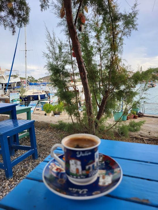 Fotoğraf 15