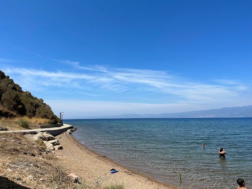 Fotoğraf 12