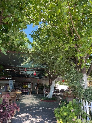 Yorum fotoğrafı 4