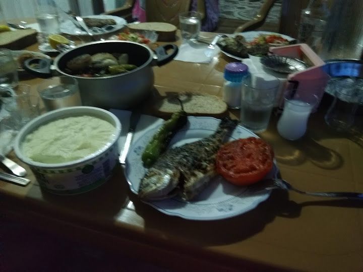 Fotoğraf 16