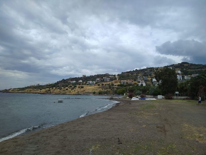 Yorum fotoğrafı 3