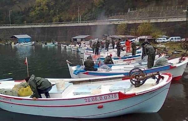 Eynesil Boztepe Balıkçı Barınağı