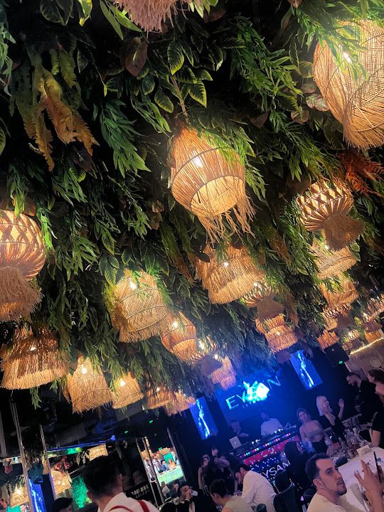Fotoğraf 33