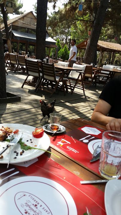 Fotoğraf 41
