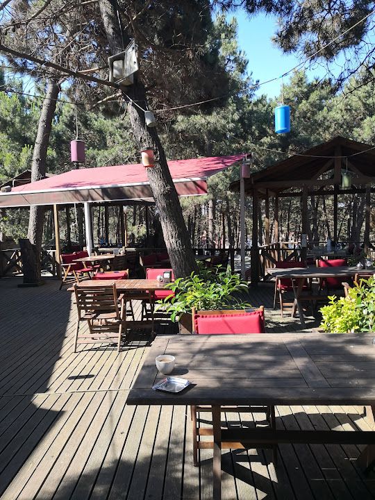 Fotoğraf 34