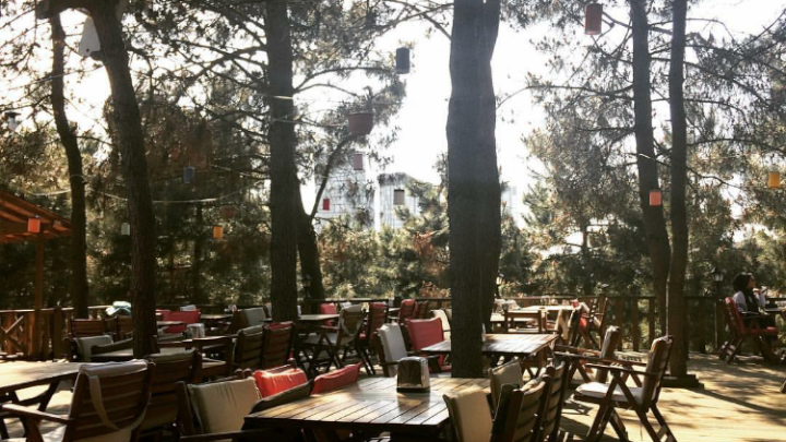 Fotoğraf 35