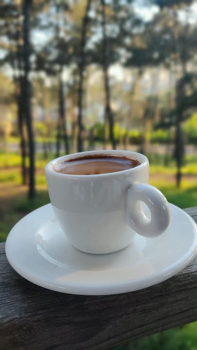 Fotoğraf 29