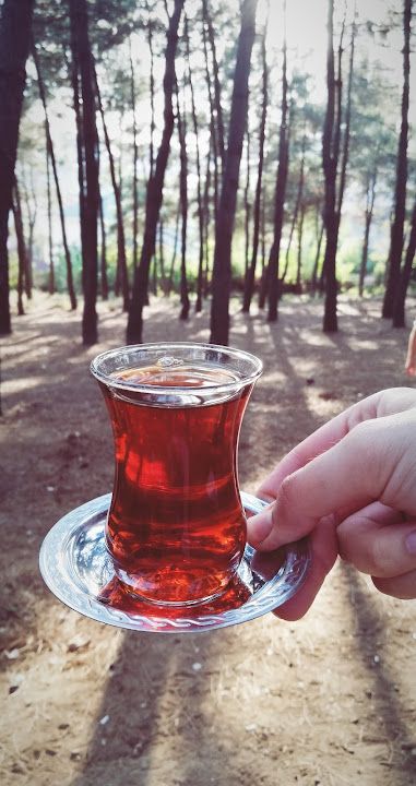 Fotoğraf 39