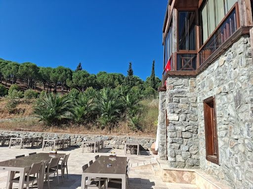 Fotoğraf 29