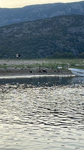 Yorum fotoğrafı 5
