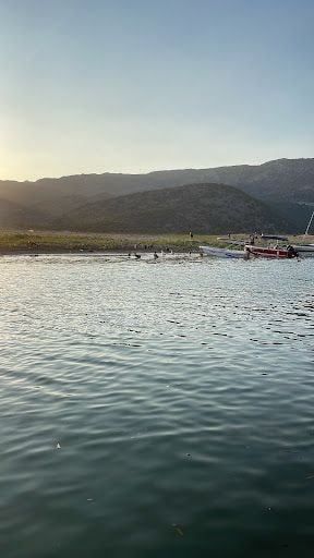 Yorum fotoğrafı 8