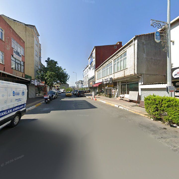 Fotoğraf 11