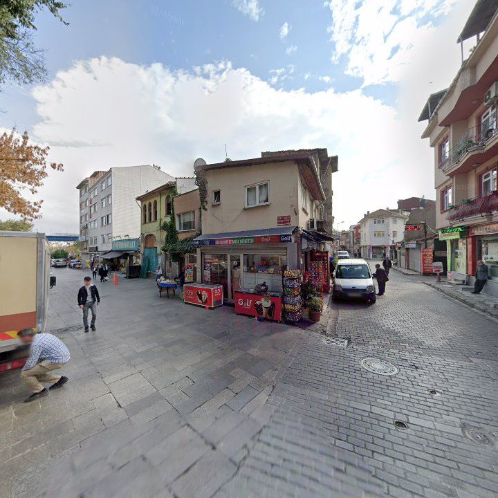 Fotoğraf 10