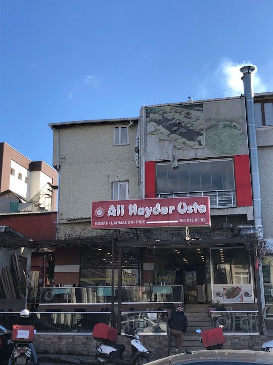 Ali Haydar Usta
