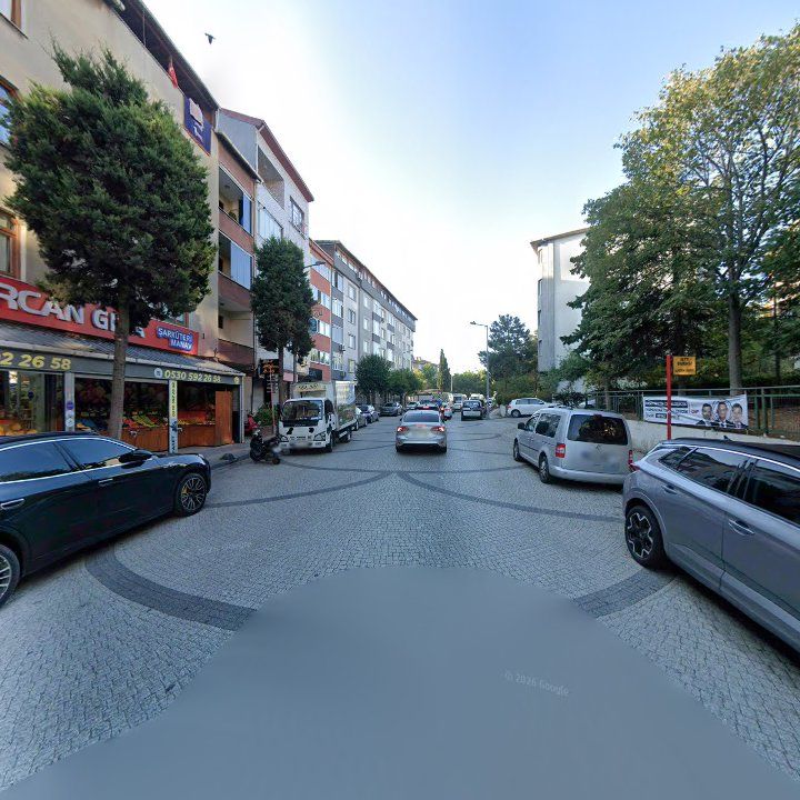 Fotoğraf 12