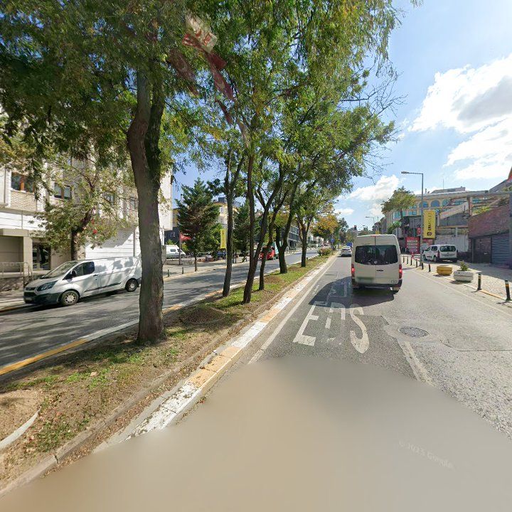 Fotoğraf 14
