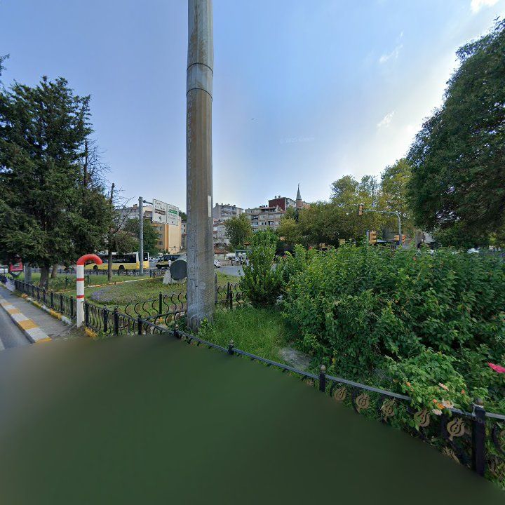 Fotoğraf 11