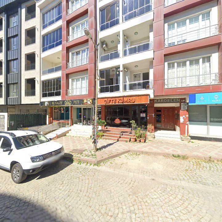 Fotoğraf 9
