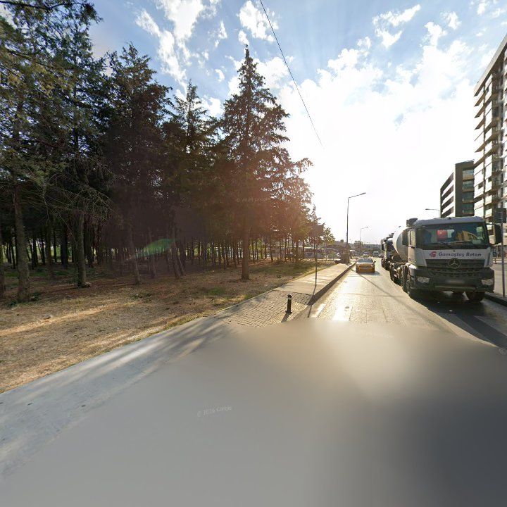 Fotoğraf 13