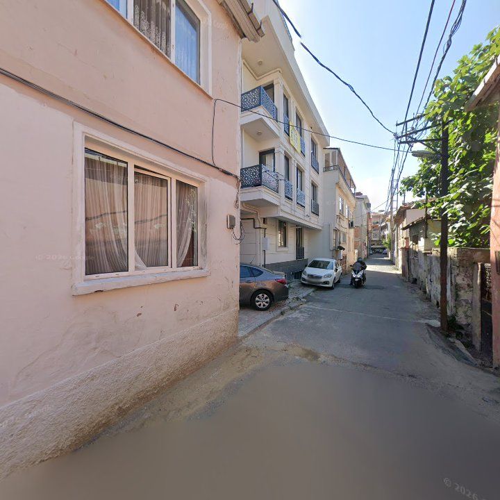 Fotoğraf 11