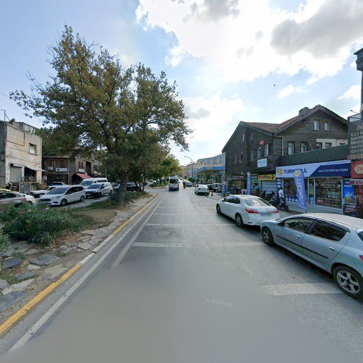 Fotoğraf 12