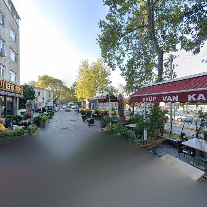 Fotoğraf 11
