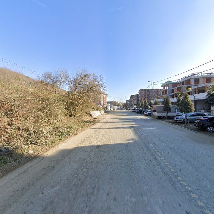 Fotoğraf 10