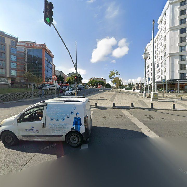 Fotoğraf 10