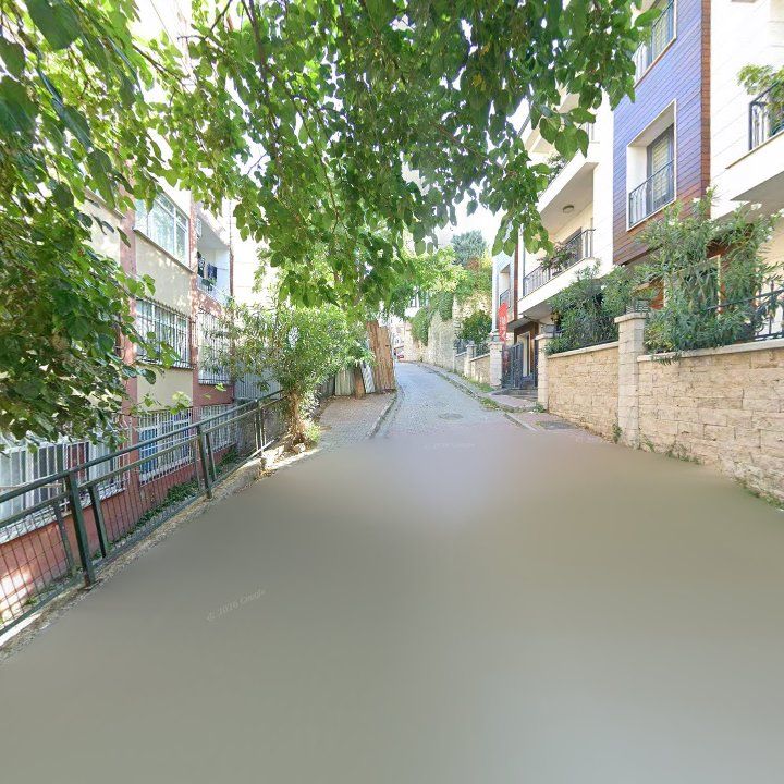 Fotoğraf 11