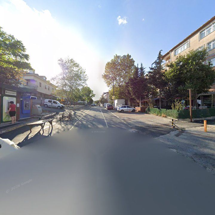Fotoğraf 10
