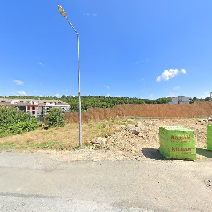 Fotoğraf 12