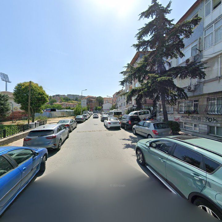 Fotoğraf 9