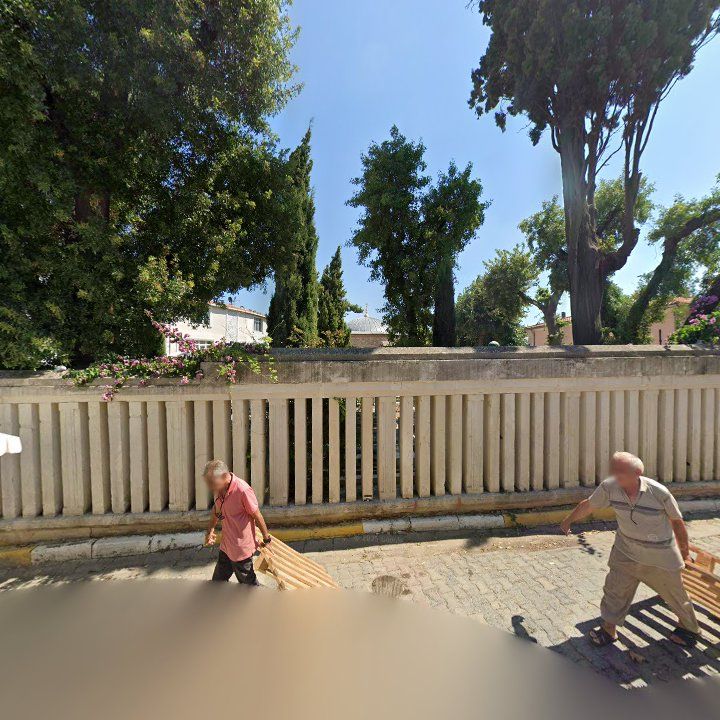 Fotoğraf 8