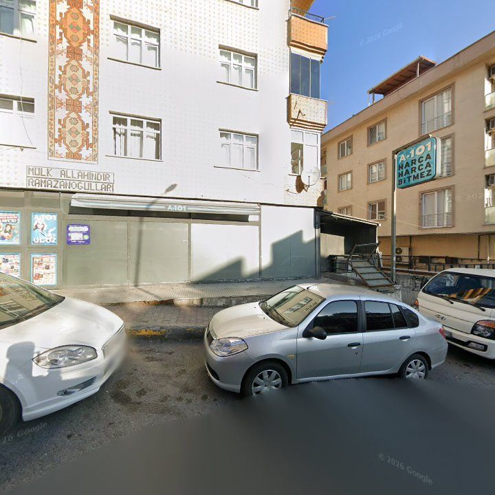 Fotoğraf 9